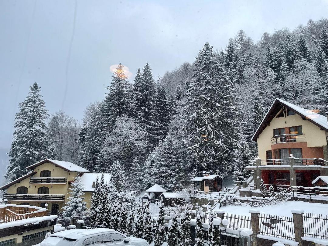 7Soapte Timisu de Jos Exteriér fotografie